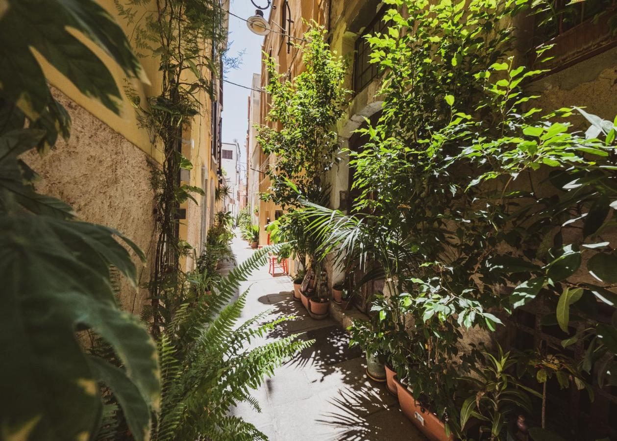 Appartamento Maestrale - Quartiere Castello Cagliari Exteriér fotografie
